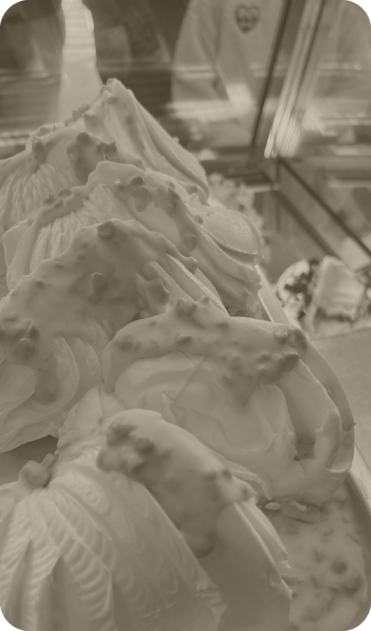 Dolce Miele gelato counter