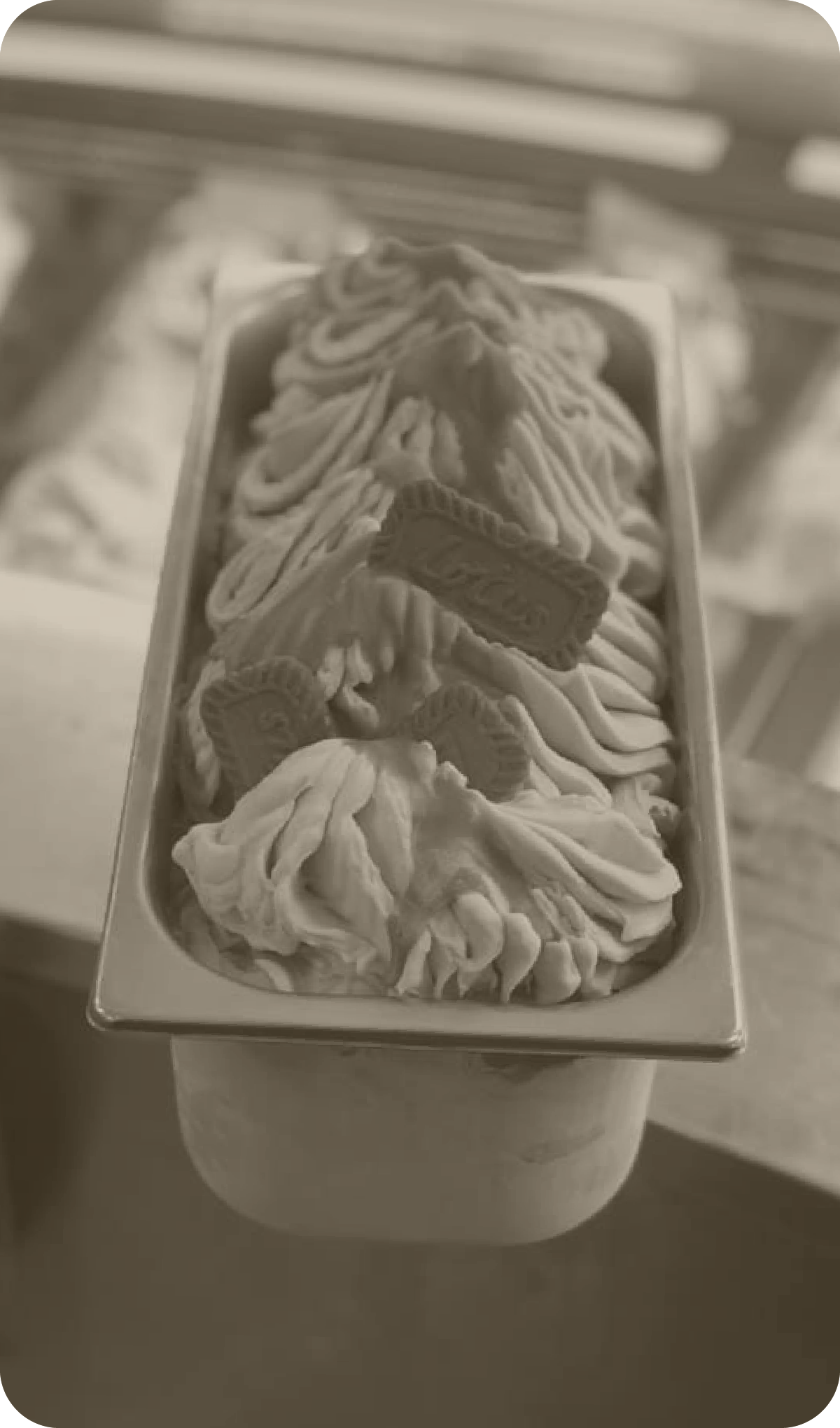 Dolce Miele takeaway gelato tub